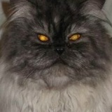 Андрей Соколов, Казань