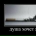 Abai Askarov, 19.11.1992