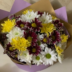 Amika Cheremisova, 24.04.1996, Алматы