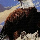Eldor Hakimov, Нижний Тагил