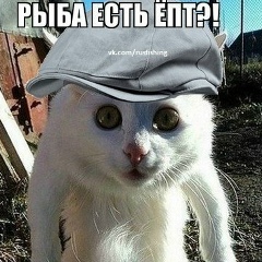 Андрей Вильямов, 16.12