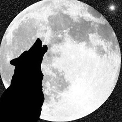 Драго Кавказ, 23.06, Москва