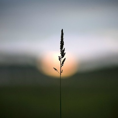 Юля Новицкая, Минск