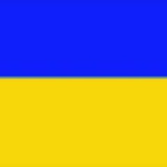 Дмитрий Затолочный, 19.01.1991, Полтава