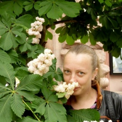 Елена Науменко, Гостомель