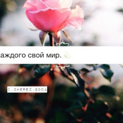Малика Асхабова, Грозный