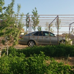Балқаш Ражапова, 01.07.2007
