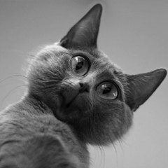 Дмитрий Львов, 18.07, Москва