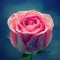 Айганша Джумагулова, 04.05.1993, Актобе