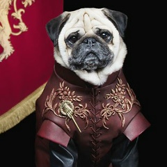 Костя Андрющенко, 22.07, Алчевск