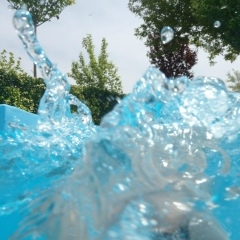 Алексей Левченко, Санкт-Петербург