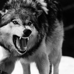 Нурбол Базарбаев, 18.05.1995, Актобе