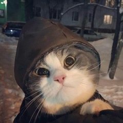 Юра Казин