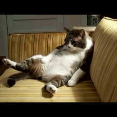 Ильнар Тагиров, 05.03.1989, Казань