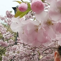 Катерина Никанорова, 08.04, Санкт-Петербург