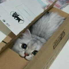 Тогжан Кенесарина, 10.10.1978, Алматы