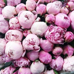 Aйгерим Жаркын, 20.09