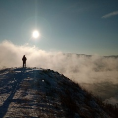 Даниил Шепелевич, Красноярск