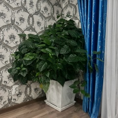 Asel Toktoralieva, 08.06.1986, Seoul