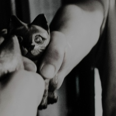 Андрей Прокопьев, 31.05.1988, Москва