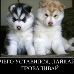 Эмиль Умеров, 01.12, Симферополь
