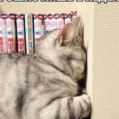 Дина Юсупова, 08.02.1996, Бишкек