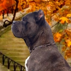 Виктория Колосова, 24.10, Санкт-Петербург