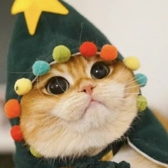 Александр Неважно