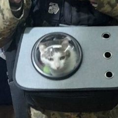 Сергей Сиргиенко, 26.04, Львов
