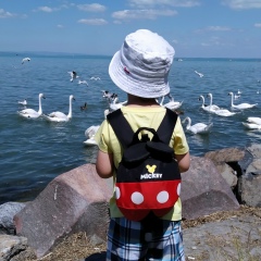 Алек Сандр, 05.03.1977, Balatonvilágos