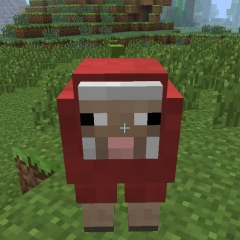 Адік Хедик, 09.01, Львов