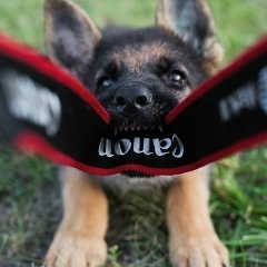 Юлия Добридень, 10.07, Верхний Уфалей