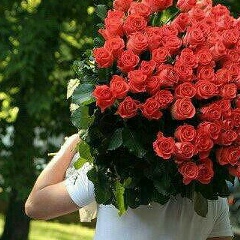 Данияр Абдираимов