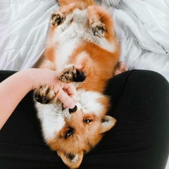 Ольга Великая, 22.03.1991, Днепр (Днепропетровск)