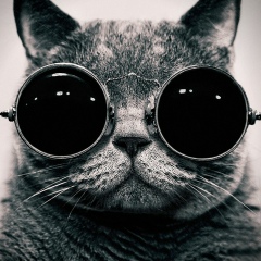 Yaroslav Grynenko, 07.12, Toronto