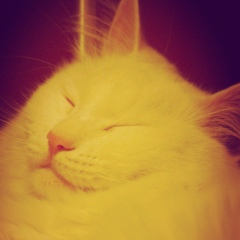 Гарис Парочкин, 28.11, Москва