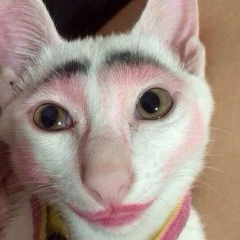 Оксана Меркушева