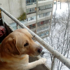 Евгений Траянович, 01.12.1989, Минск