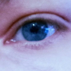 Елена Павли, 19.11