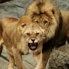 Татьяна Липатова, 04.08