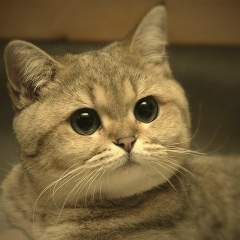 Максим Фёдоров, 05.02.1998, Новочебоксарск
