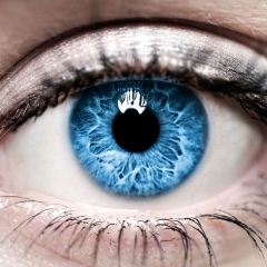 Татьяна Соколова, 05.10.1980, Москва