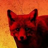 Илья Мышкин, 29.10, Краснодар