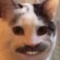 Илья Наумушкин, 28.11.1996, Алатырь