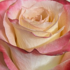 Гульнар Усманова, 17.12, Стерлитамак