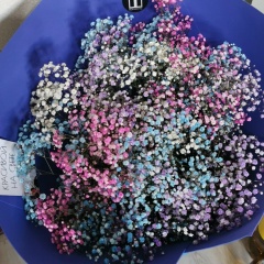 Тамара Тамина, 29.08