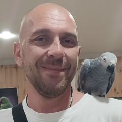 Миха Черемовский