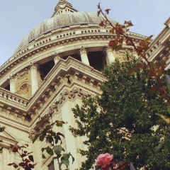 Olga Guru, Москва