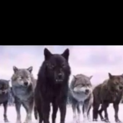 Убай Убай, Москва