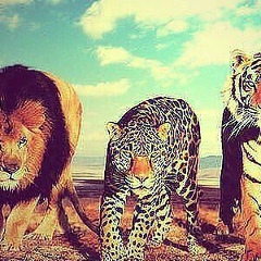 Расул Мусаев, 06.09.1998, Хасавюрт